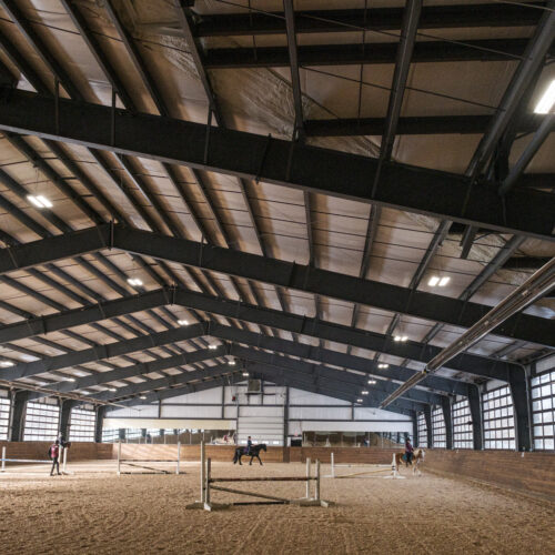 Big Horse Farm